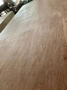 Contreplaqué commercial de conception moderne gentille avec le noyau de bois dur Bintangor/Okume/surface de pin - Product Image 3