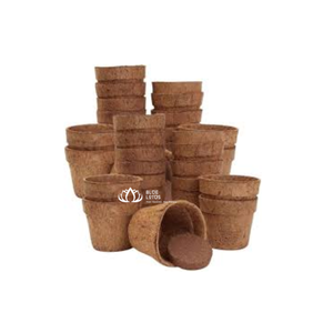 Maceta Premium de Fibra de Coco Verde Biodegradable para Cultivo en Viveros y Exportación - Product Image 1