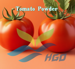 Suministro Directo de Fábrica HGO de Polvo de Tomate Puro Natural (Grado Alimenticio) Especificación Polvo Vegetal (Vegetal Liofilizado) - Product Image 2