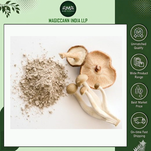 Poudre d'extrait de champignon de qualité supérieure, formule naturelle à base de plantes de qualité alimentaire, pour stimuler l'immunité, soutenir l'énergie et favoriser la santé globale - Product Image 6