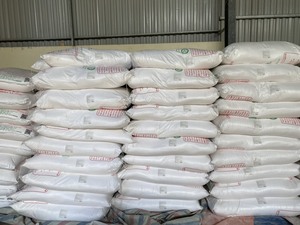 Almidón de Araroto Orgánico en Polvo, el Más Vendido, Precio Económico, Sabor Natural para Alimentos e Ingredientes, Empacado en Bolsa, Origen Vietnam - Product Image 5