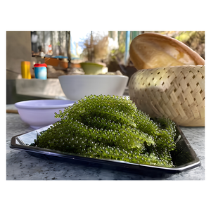 Vente en gros de raisins de mer vietnamiens en vrac pour la distribution - Product Image 4