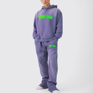 Conjunto de Sudadera con Capucha y Pantalones Deportivos Personalizados de Fábrica, 500 GSM, 100% Algodón Felpa, Traje Deportivo Grueso para Hombre - Product Image 2