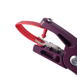 Etiqueta de Oreja para Ovejas, Cabras, Conejos y Cerdos, de una Sola Pieza, Económica, al por Mayor - Product Image 3