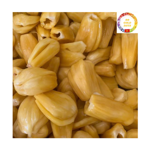 IQF Frozen Jackfruit Manufacturer | Seedless Sweet Yellow | Bulk Export | Vietnam Factory Price - Product Image 5