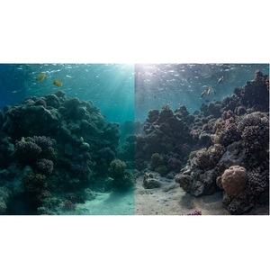 Servicio de Edición de Fotos Subacuáticas con Corrección de Color Profesional, Recuperación de Destellos y Limpieza de Fondo al Mejor Precio - Product Image 1