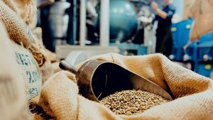 Café Vert Arabica de Spécialité Premium du Vietnam, Grains de Taille 18, Certifié USDA, Export Direct en Gros, 0,1% de Grains Noirs Cassés, TNFOOD - Product Image 4