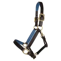 Harnais de polo en cuir d'Argentine, robuste et réglable, en cuir et nylon, durable et adapté à toutes les saisons, équipement équestre, designs personnalisés