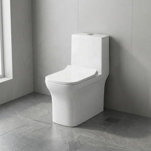 WC monobloc en céramique moderne à siphon en S pour bâtiments commerciaux et projets hôteliers - Product Image 3