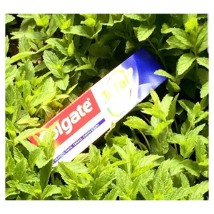 Fournisseur en gros de dentifrice Colgate, grandes quantités pour la distribution en supermarché - Product Image 5