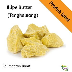 Crema de Manteca de Illipe Tengkawang Pura y Natural de Riau, 1 kg, para el Cuidado de la Piel, Fabricación de Jabones y Cosméticos - Product Image 4