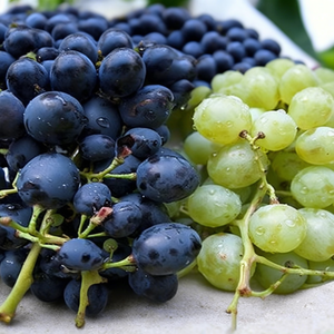 Fabricante de Líneas de Procesamiento de Alimentos a Base de Plantas con Extracto de Semilla de Uva en Polvo - Product Image 2