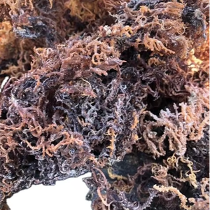 สาหร่ายทะเลสีม่วงเวียดเดลต้าสำหรับอาหารสัตว์ ปรุงรสพร้อมรับประทาน ซุปเมล็ดบัวปรุงสุก นำเข้าจากเวียดนาม - Product Image 5