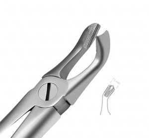 Pince d'extraction dentaire 79 Instrument chirurgical dentaire manuel à motif anglais par Al Mida - Product Image 6