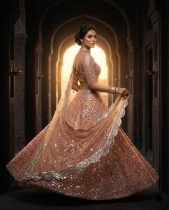 Lehenga Choli de Lujo Tradicional en Rosa Pálido con Lentejuelas y Pedrería para Bodas Indias de Invierno y Fiestas Pakistaníes - Product Image 3