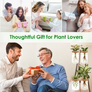 Lot de 4 pots en verre d'intérieur, grands et petits, pour stations de propagation hydroponique, pour boutures de fleurs et de plantes - Product Image 3