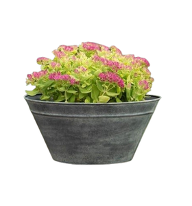 Jardinières en fer galvanisé multifonctionnelles, pots en zinc pour la maison, le jardin et le balcon - Product Image 1