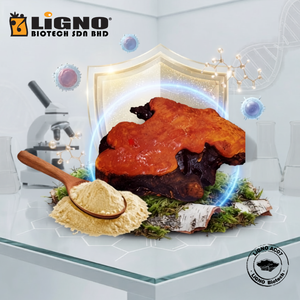 LiGNO AC07 Polvo Procesado de Hongo Antrodia Camphorata de Espectro Completo, Secado en Frío, Ingrediente para el Bienestar de las Mascotas |   Natural - Product Image 1