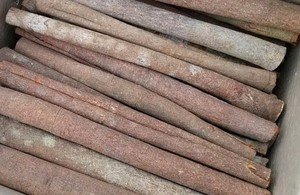 หลอดทั้งอบเชย/คานลีธรรมชาติคุณภาพสูงจากเวียดนาม (WA: + 84362512699) - Product Image 2