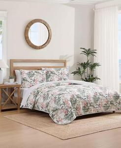 Isola orchidea cotone reversibile 3-Pc. Set di trapunte | Tommy Bahama - Product Image 2