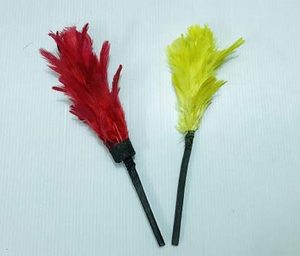 Plumas Mágicas que Cambian de Color, Mini Plumas de Colores Cambiantes, Truco de Magia - Product Image 2