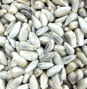 Graines de Carthame de Haute Qualité en Gros pour l'Exportation depuis l'Afrique du Sud GLOBAL EXPORT... pour les Distributeurs et Importateurs en Gros du Monde Entier - Product Image 3