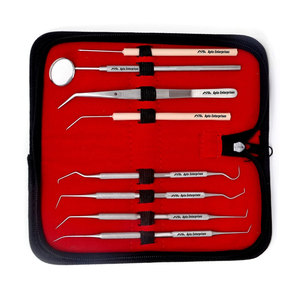 Kit d'hygiène dentaire pour usage domestique, ensemble de détartrage et de nettoyage de la plaque dentaire avec grattoir à tartre en acier inoxydable, cure-dents et détartreurs dentaires - Product Image 4