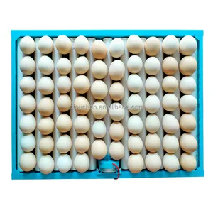 OUCHEN plastic 70 capacity rolling egg tray chicken bird goose duck turkey quail emu egg incubator poultry equipment for sale