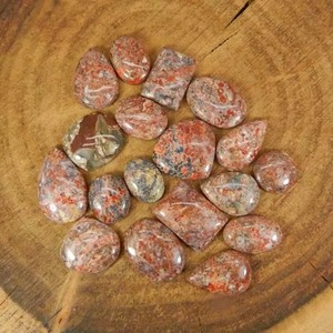 Lote al por mayor de gemas cabujón de hueso de dinosaurio natural rojo de calidad AA con formas mixtas, directamente de fábrica de AU - Product Image 5