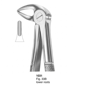 คีมถอนฟัน รุ่น Fig. 33B ลูกตัวอักษรตัวล่าง (แบบอังกฤษ) |   สแตนเลสเกรดพรีเมียม - Product Image 3