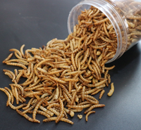 Application de ver de farine séché pour les aliments pour animaux de compagnie, les oiseaux sauvages et les grenouilles forestières