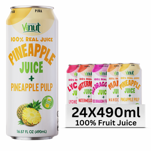 Para VINUT 490ml Sabores variados de jugo de frutas y verduras sin azúcar con pulpa OEM/ODM Muestra gratis Etiqueta privada disponible - Product Image 1