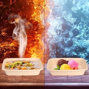 Nuevo Contenedor de Alimentos de Bagazo Antiderrames de 750ml, Empaque Ecológico para Almuerzo, Diseño Rectangular Sin Blanquear, Cajas para Empacar Alimentos - Product Image 5