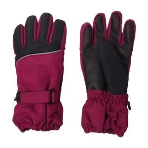 Gants de ski imperméables pour femmes et hommes, gants thermiques coupe-vent pour le snowboard, gants de neige pour les sports de plein air, mitaines chaudes en polaire, vente en gros - Product Image 1