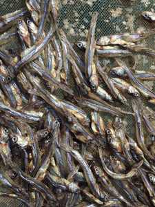 Anchois séchés vietnamiens au meilleur prix de chez Blue Lotus – Qualité supérieure pour les collations et les plats savoureux - Product Image 4