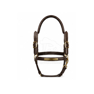 Harnais de cheval réglable, collier équestre, sangle résistante, ajustement confortable, options de taille et de couleur personnalisées - Product Image 2