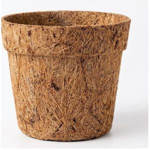 กระถางมะพร้าวยั่มนา (Coco Pots) กระถางปลูกต้นไม้ย่อยสลายได้ ขนาด 4 นิ้ว อายุการเก็บรักษา 2 ปี สำหรับทำสวน - Product Image 6