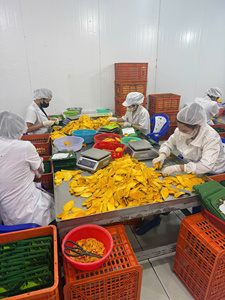 Vietnam <b>Dried</b> <b>Mango</b> OEM Supplier for Snack Brands And Retail Packaging - Product Image 4