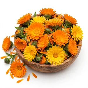 Huile de Calendula 100% pure pressée à froid |   Vente en gros de produits cosmétiques, soins de la peau, spa et massage - Product Image 2