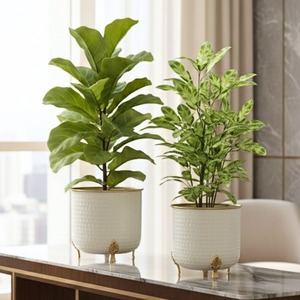 Juego de Jarrones Modernos para Mesa, Macetas de Metal Blanco con Borde Dorado, Diseño Acanalado, Maceteros Decorativos para Uso en Interiores - Product Image 5