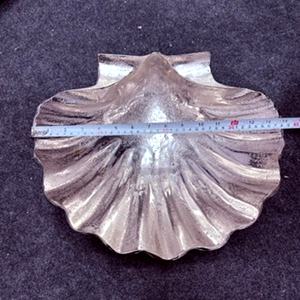 Bandeja Decorativa de Metal con Forma de Concha, Hecha a Mano, de Aluminio Fundido, Plato para Servir, Decoración para el Hogar, Bodas, Estilo Costero, WB Inc - Product Image 2