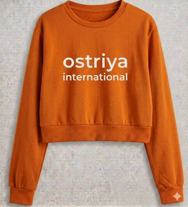 2026 Custom Women Oversize Turtleneck Lightweight Solid Fleece 100% Cotton Winter 3D Embroidery Streetwear <b>Drop</b>-shoulder - Product Image 4