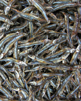 Anchois séchés au soleil du Vietnam / Qualité export