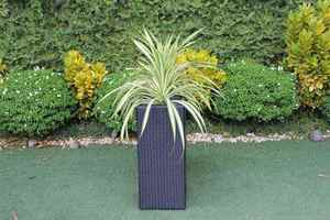 Jardinière d'extérieur en rotin PE avec trois pots amovibles - Product Image 2