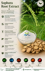 Suministro Directo de Fábrica HGO de Extracto Puro y Natural de Raíz de Sófora, Grado Alimenticio, Especificación Matrina 50%, Extracto Estandarizado - Product Image 3