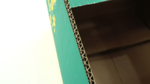 Pomelo Fruit Export EU High Quality Commercial Use Eco-Friendly Recycled Materials Custom OEM ODM Vietnam Supplier for Paper <b>Box</b> - Product Image 3