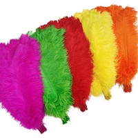 Vente bon marché Plumes d'autruche fines de haute qualité 60-65 cm pour le samba, le carnaval, les événements, les centres de table, les décorations de carnaval