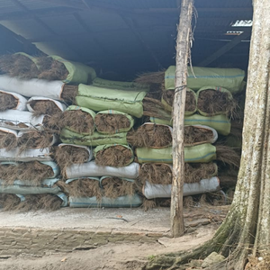 Escoba de palma para el hogar, precio competitivo, origen Indonesia - Product Image 1