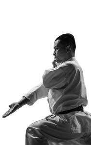 Uniforme de Karate profesional de servicio OEM estiramiento 100% algodón mejor calidad Pakistán hizo artes marciales desgaste - Product Image 6