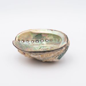 Nautical decor <b>abalone</b> <b>shell</b> cheapest cost natural seashells Vietnam supplier sale ocean sea <b>shells</b> - Product Image 5